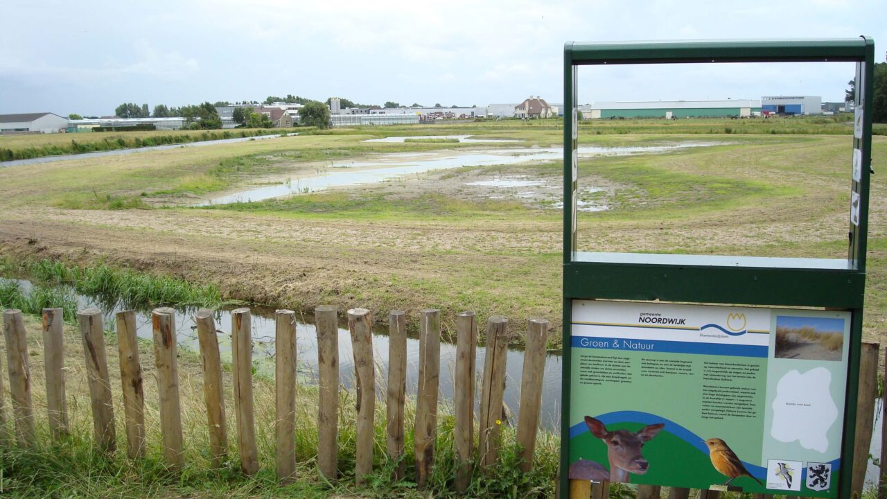 natuurontwikkeling noordwijk