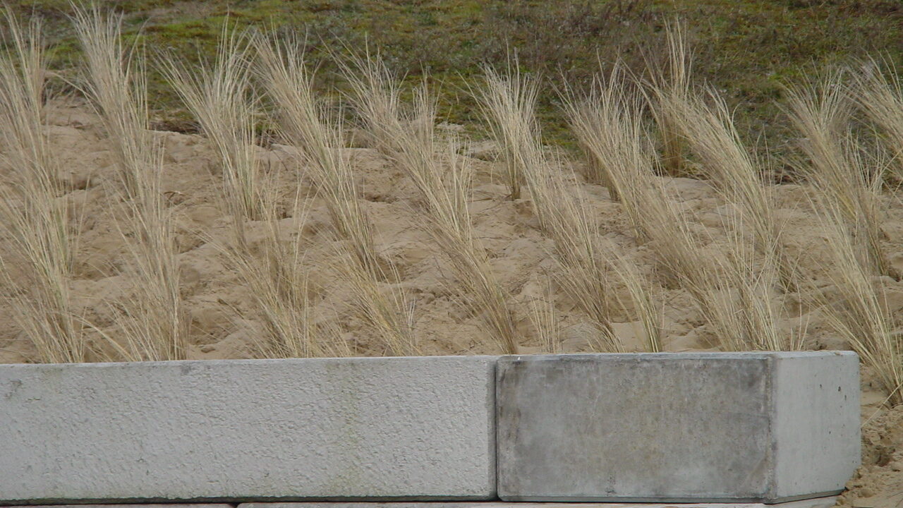 van advies tot oplevering